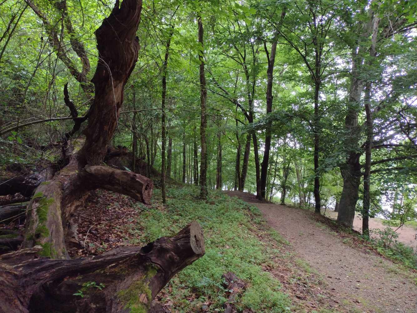 Overmountain Victory National Historic Trail