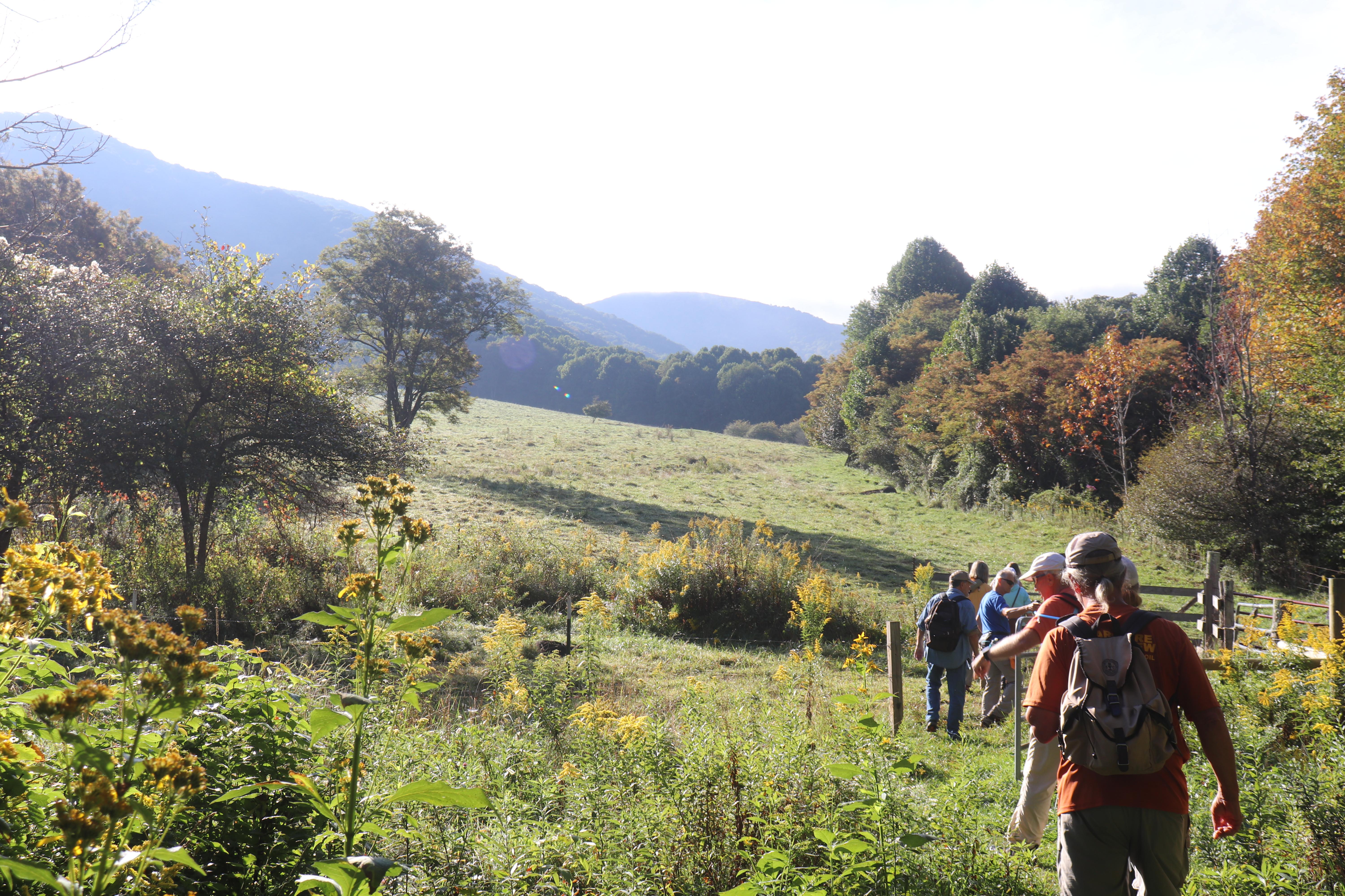 Overmountain Victory National Historic Trail — Hampton Creek Cove Trail at Yellow Mountain Gap