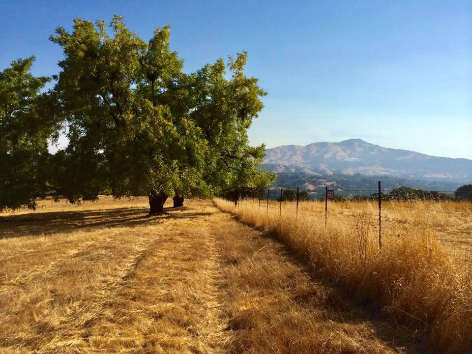 Eugene O'Neill National Historic Site — Eugene O'Neill National Historic Site