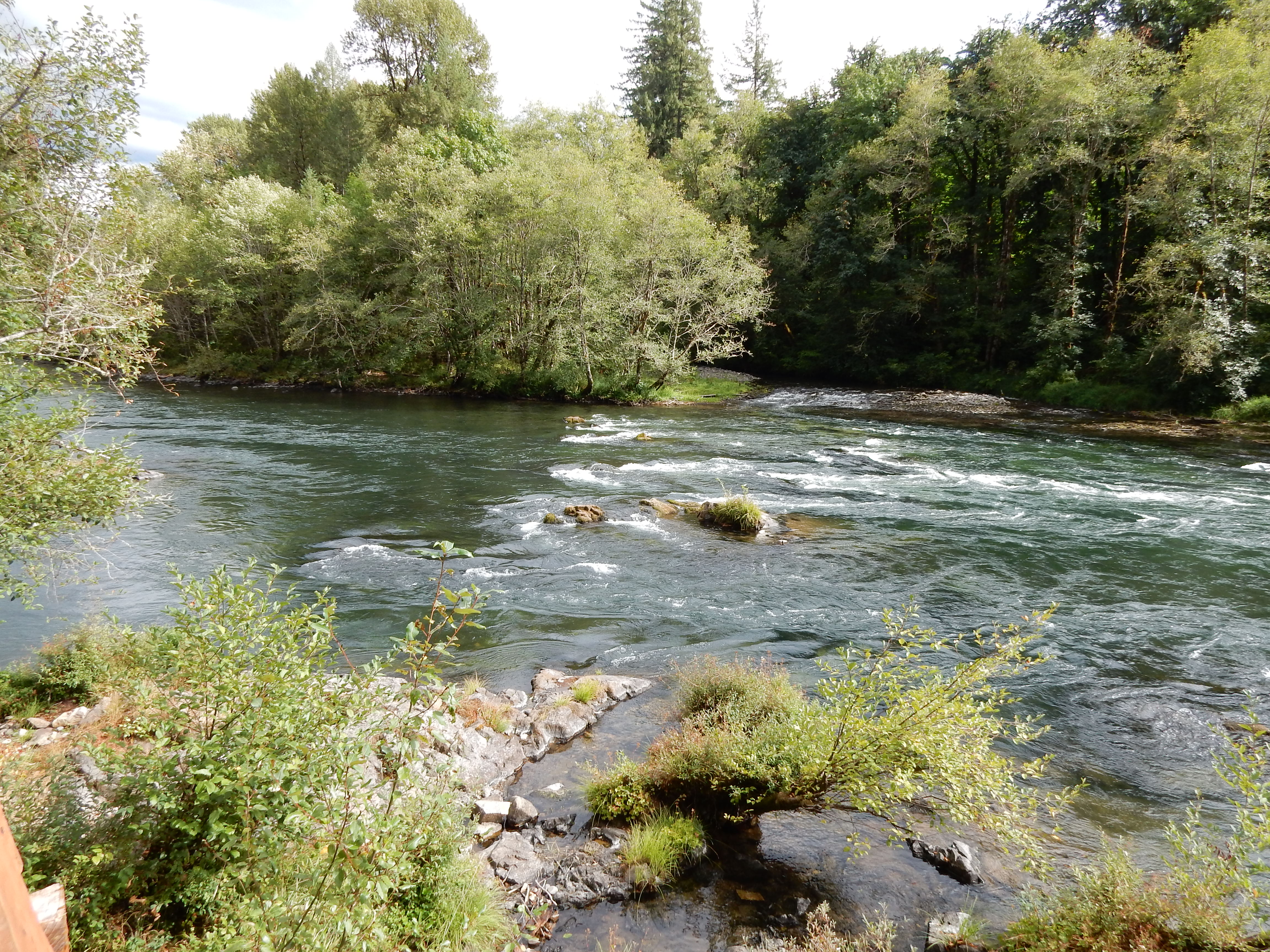 McKenzie River Corridor