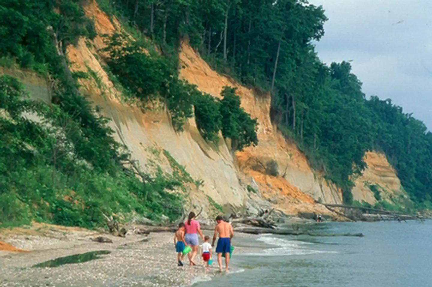 Chesapeake Bay — Calvert Cliffs