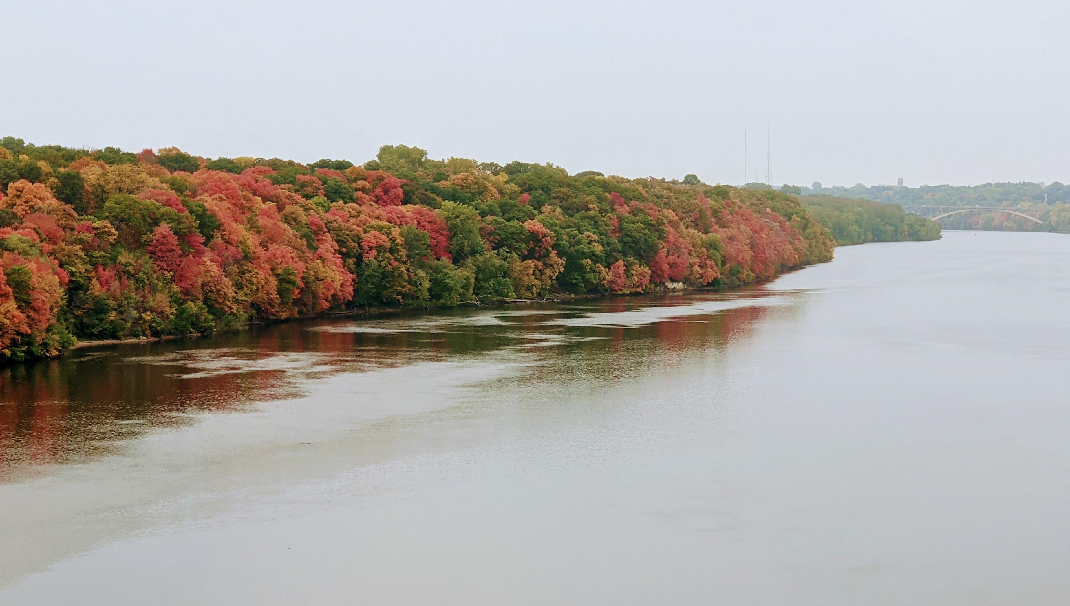 Mississippi National River & Recreation Area — Fall Colors