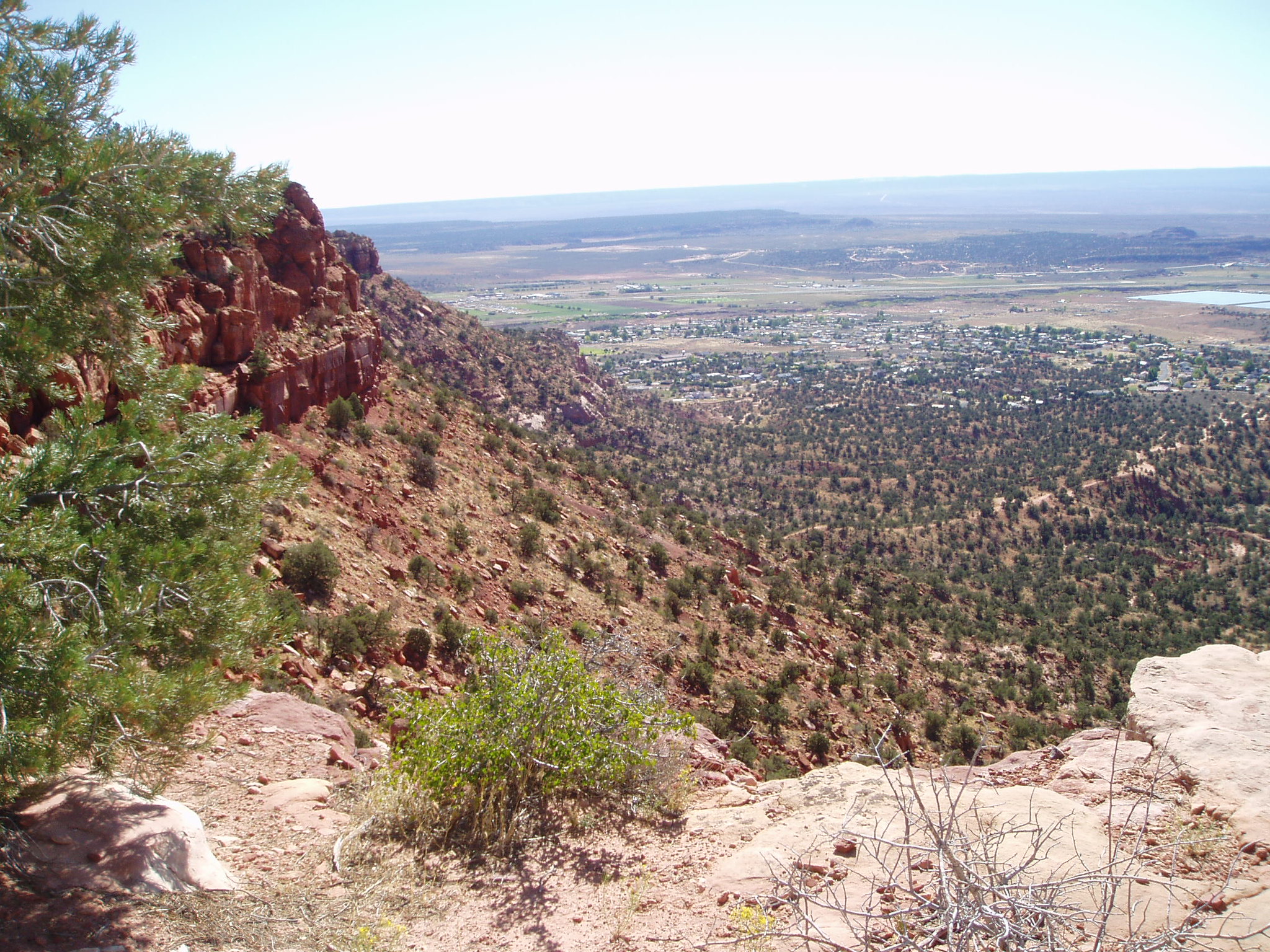 Bunting Trail