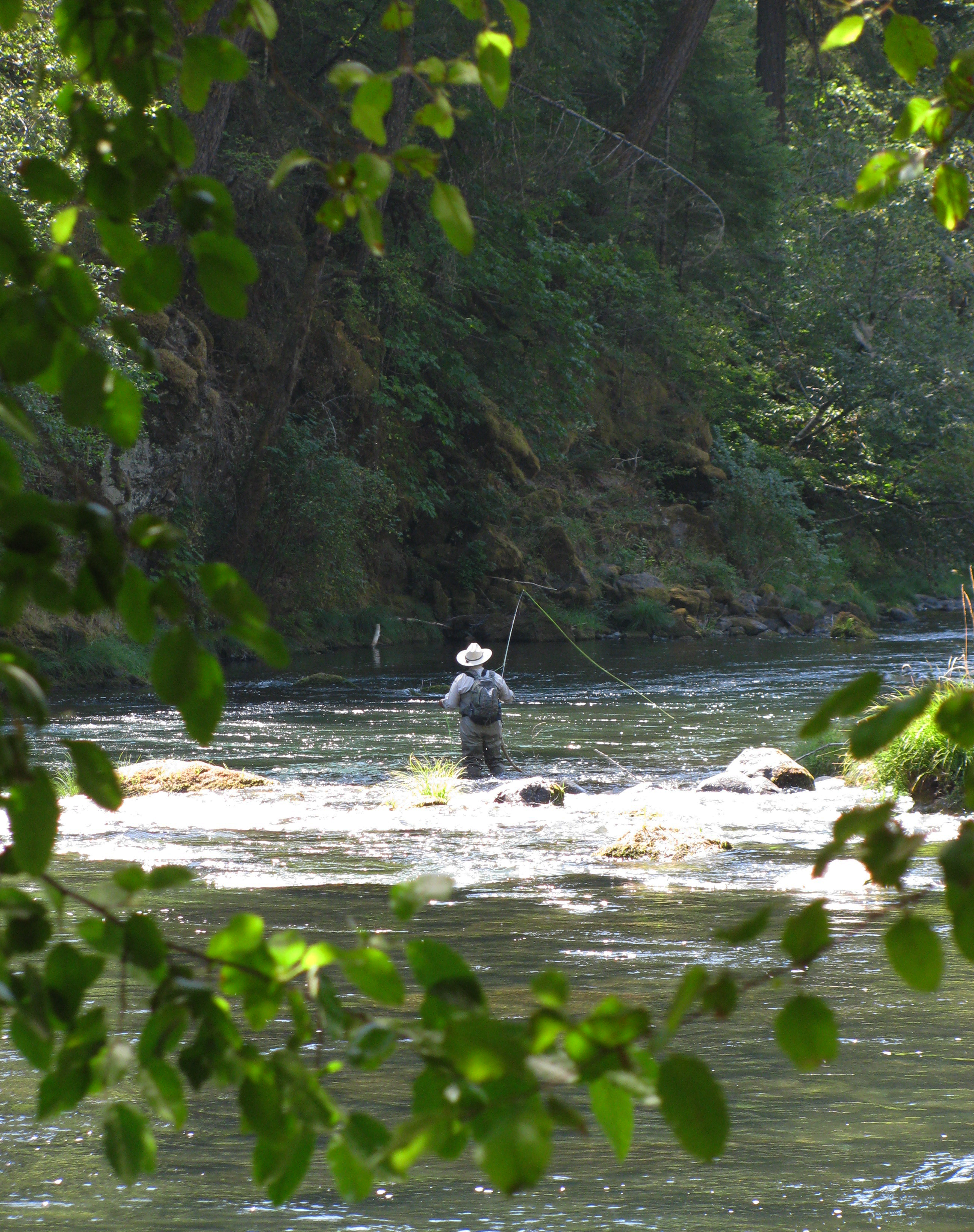Susan Creek Falls Trail and Day-Use Area — A lone fisherman fly-fishes the North Umpqua Wild and Scenic River.