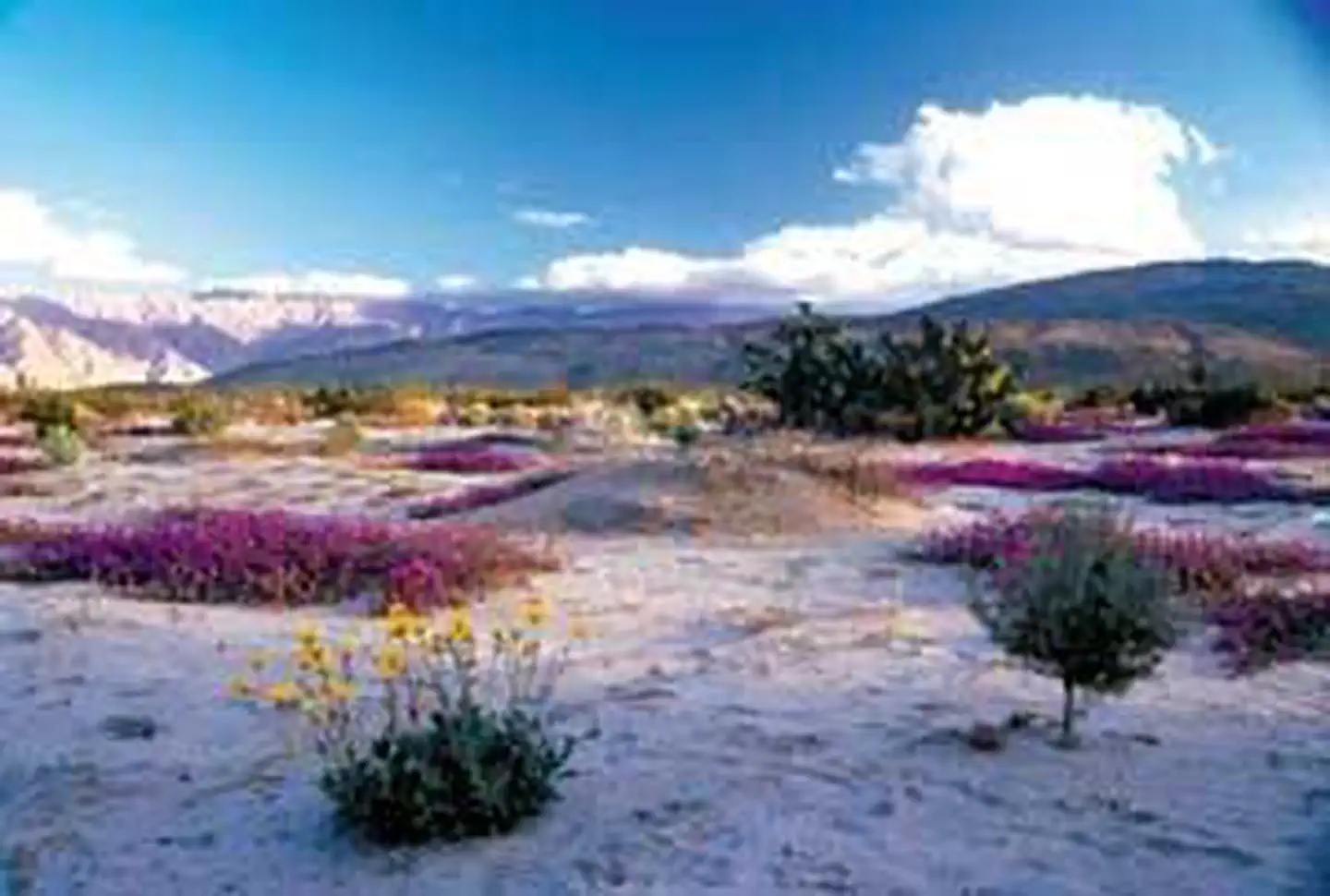 Fish Creek Mountains Wilderness