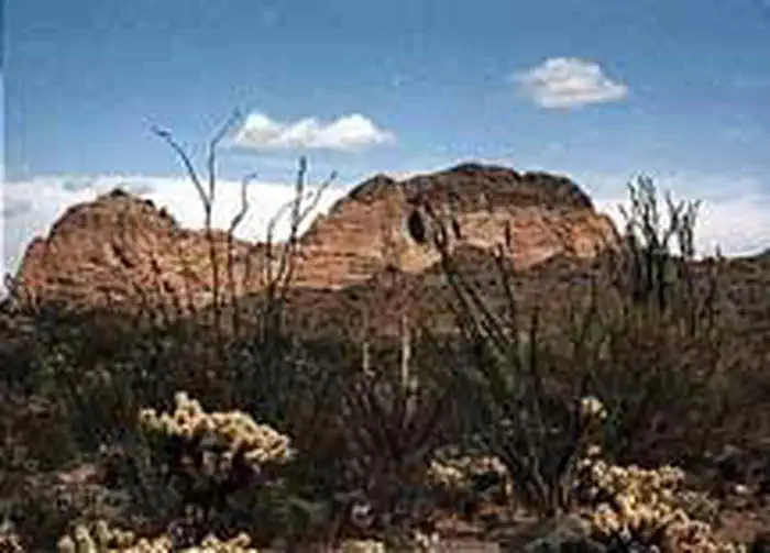 New Water Mountains Wilderness