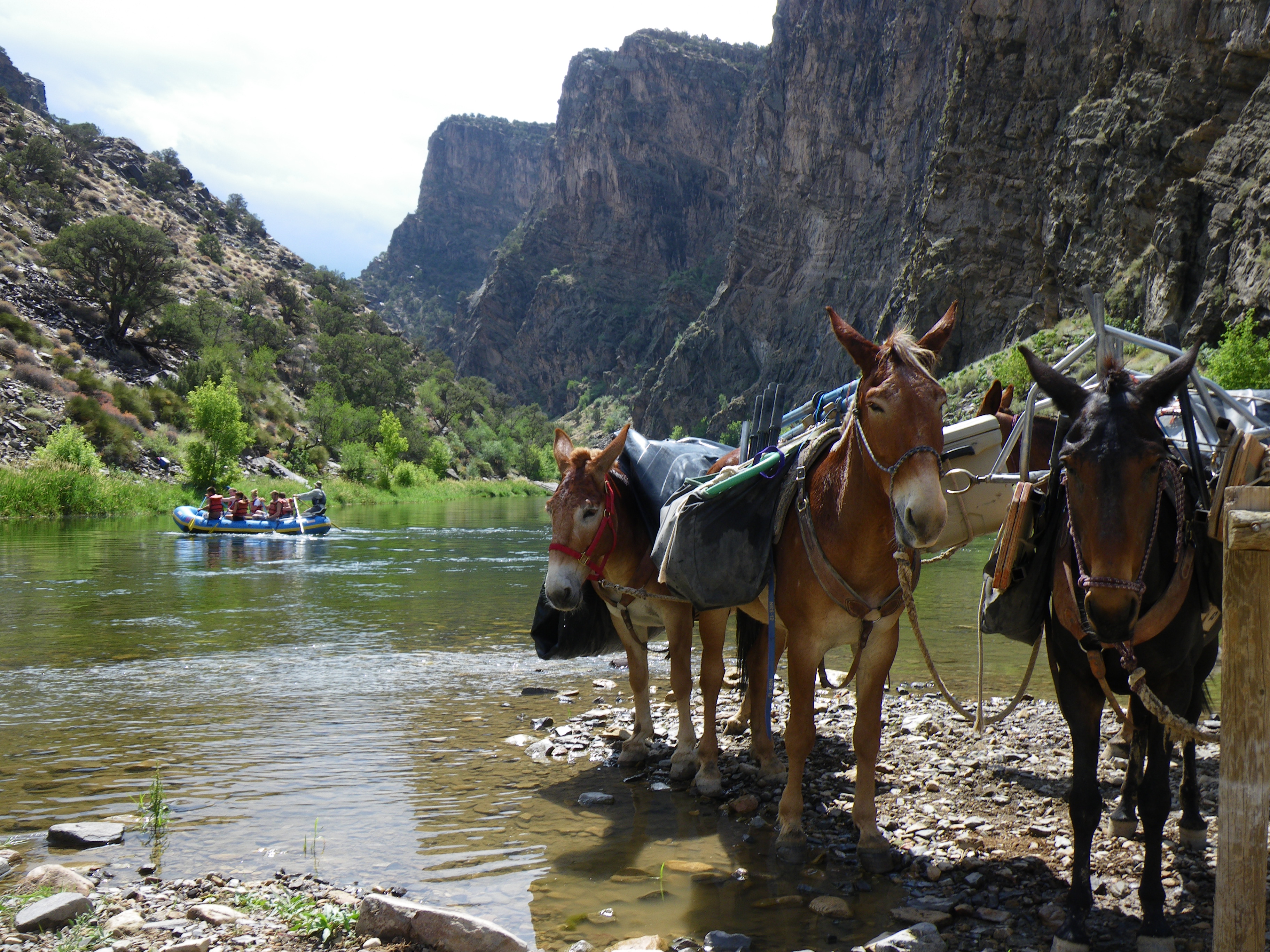 Gunnison Gorge National Conservation Area