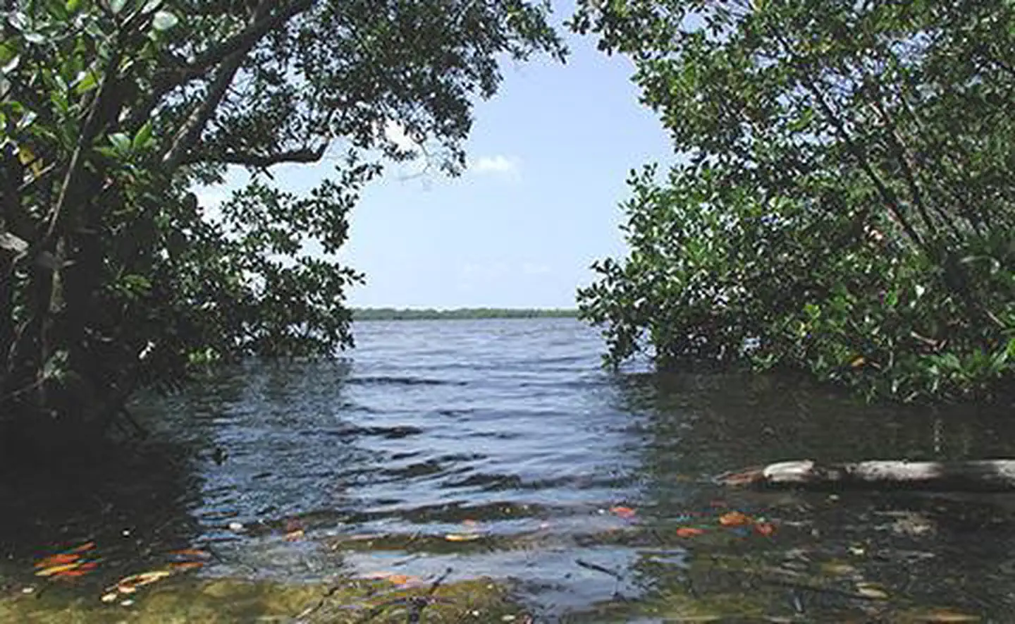 Rookery Bay National Estuarine Research Reserve