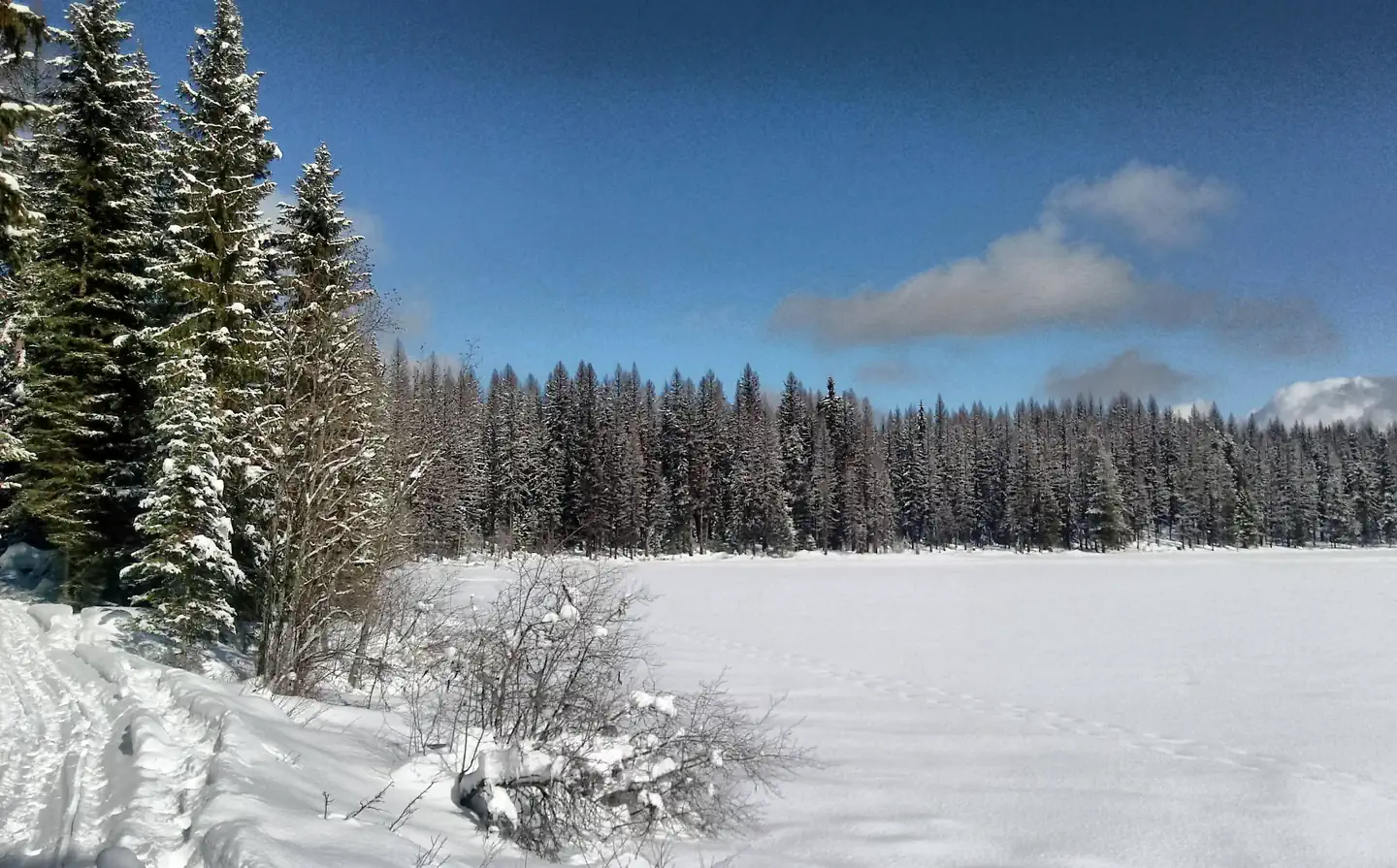 Colville National Forest — Colvilla National Forest