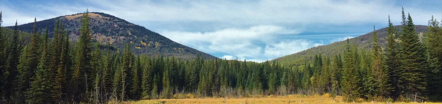 Colville National Forest