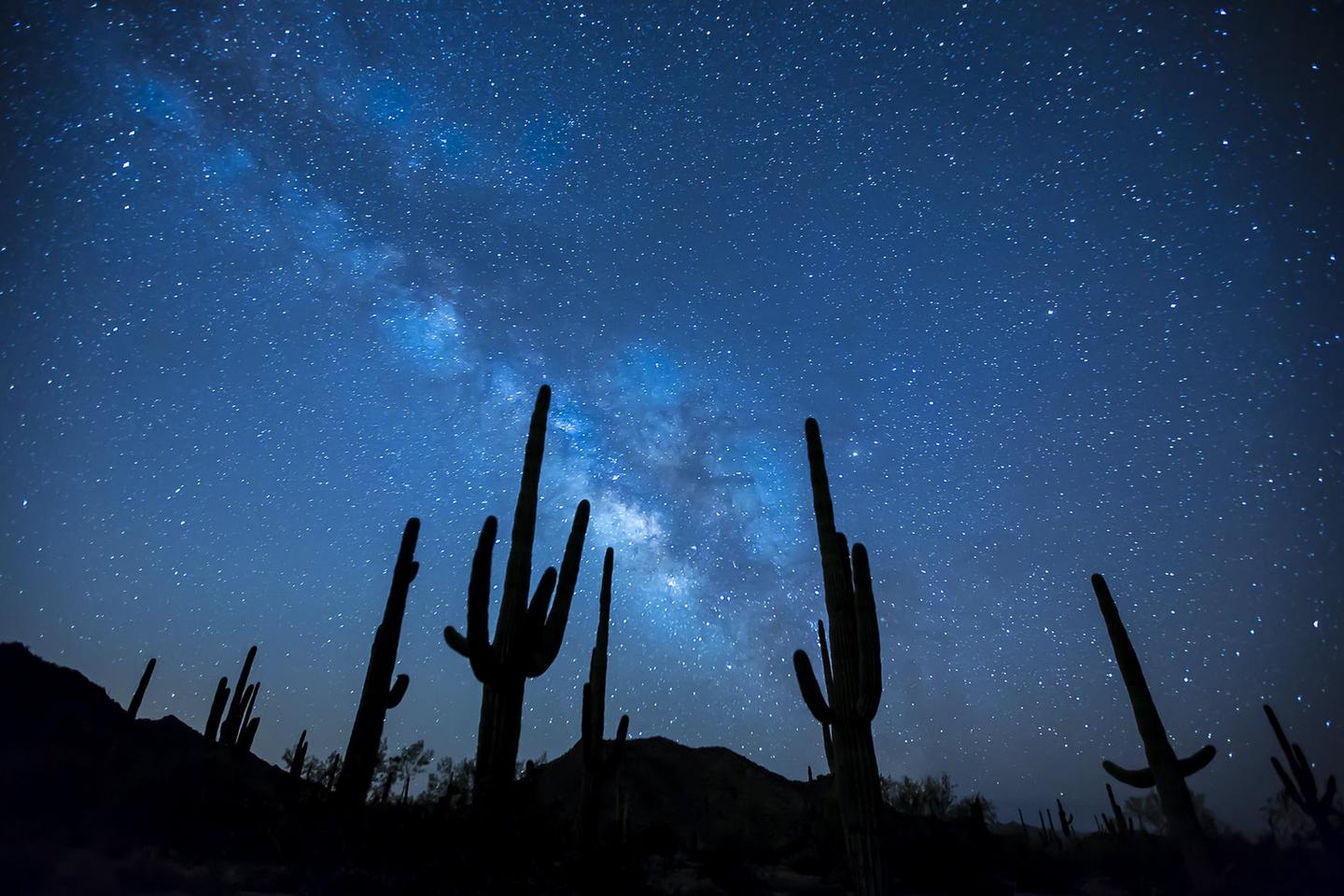 Sonoran Desert National Monument