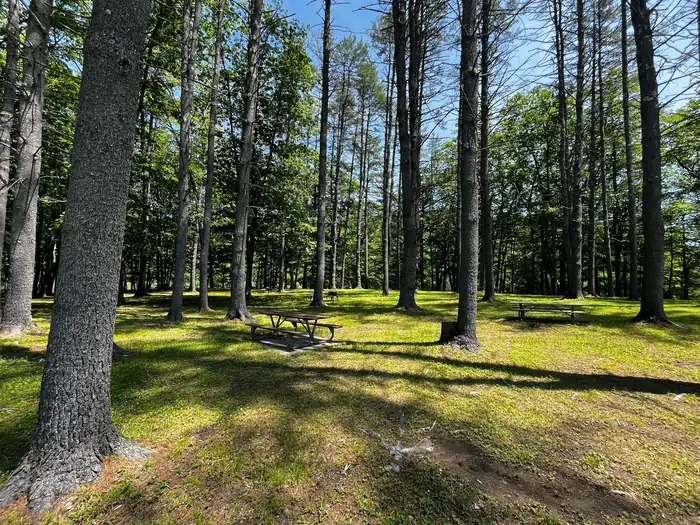 Townshend Lake — Townshend Lake Recreation Area