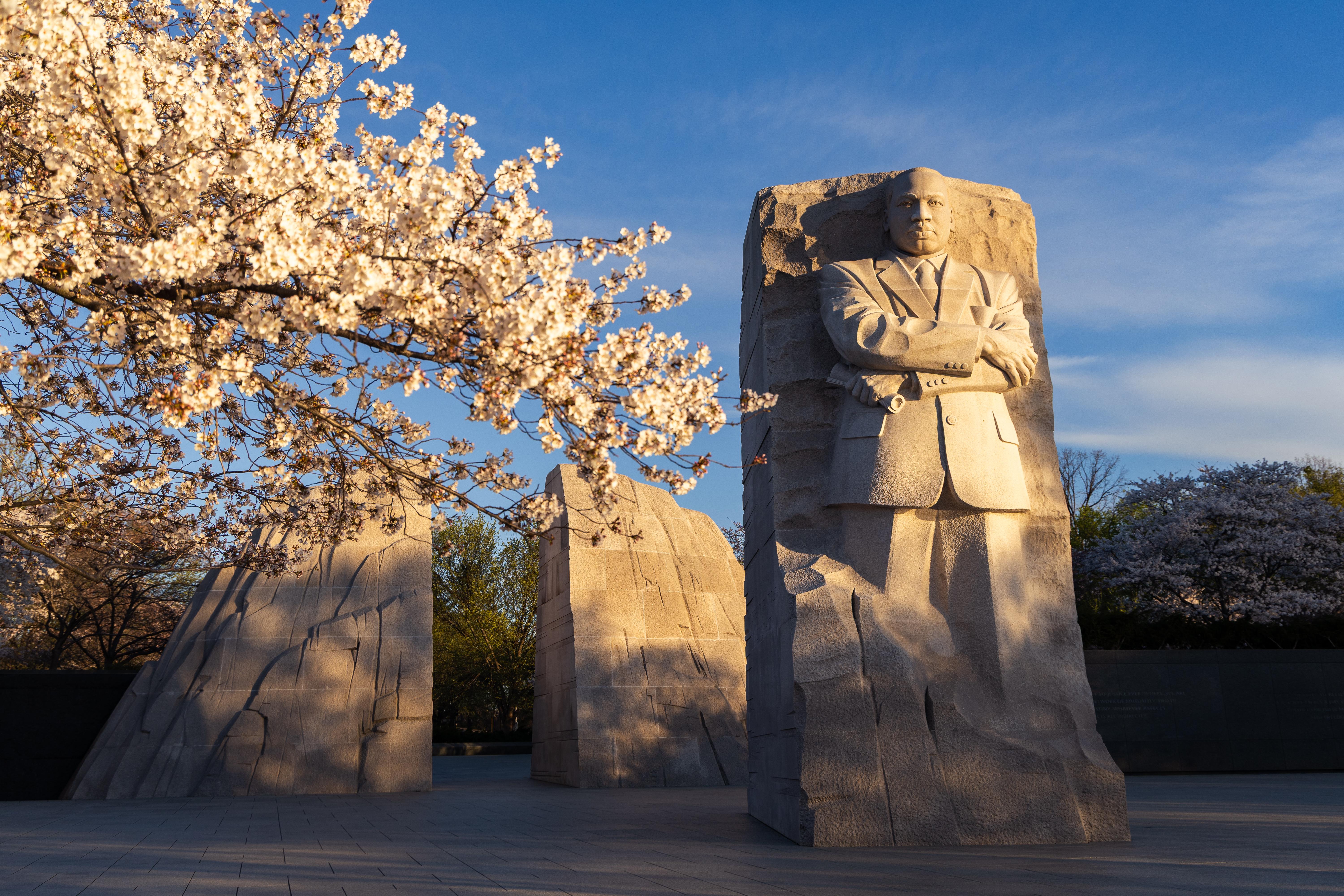 Martin Luther King, Jr. Memorial National Memorial — Martin Luther King, Jr. Memorial in cherry blossom season