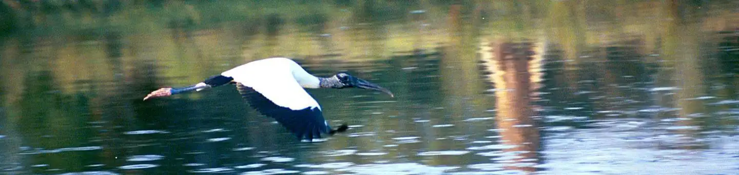 Pelican Island National Wildlife Refuge