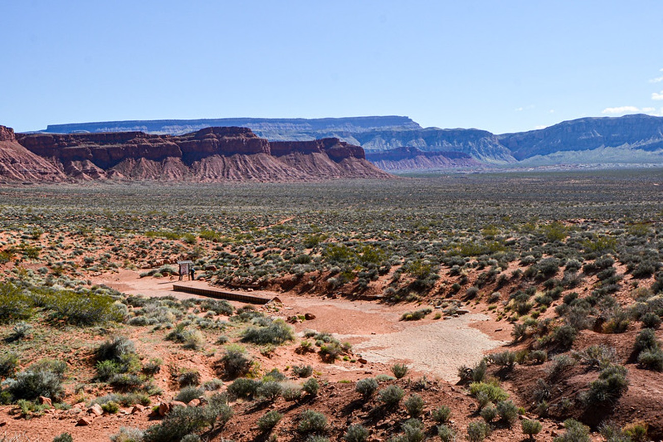 Warner Valley Dinosaur Track Site