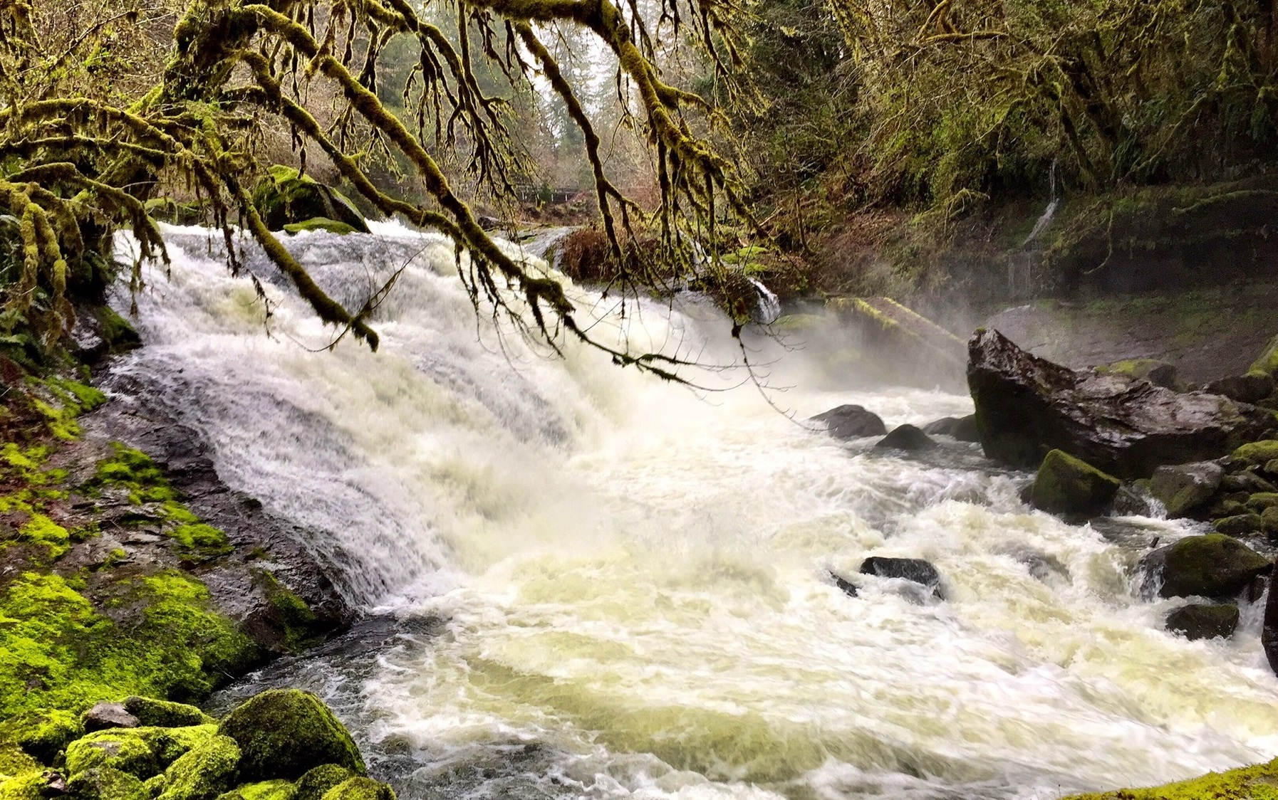 Lower Lake Creek Falls