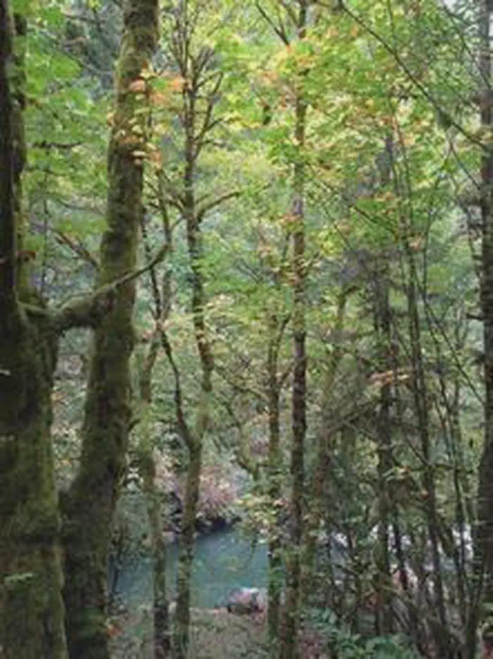 Lower Lake Creek Falls — Lake Creek Falls