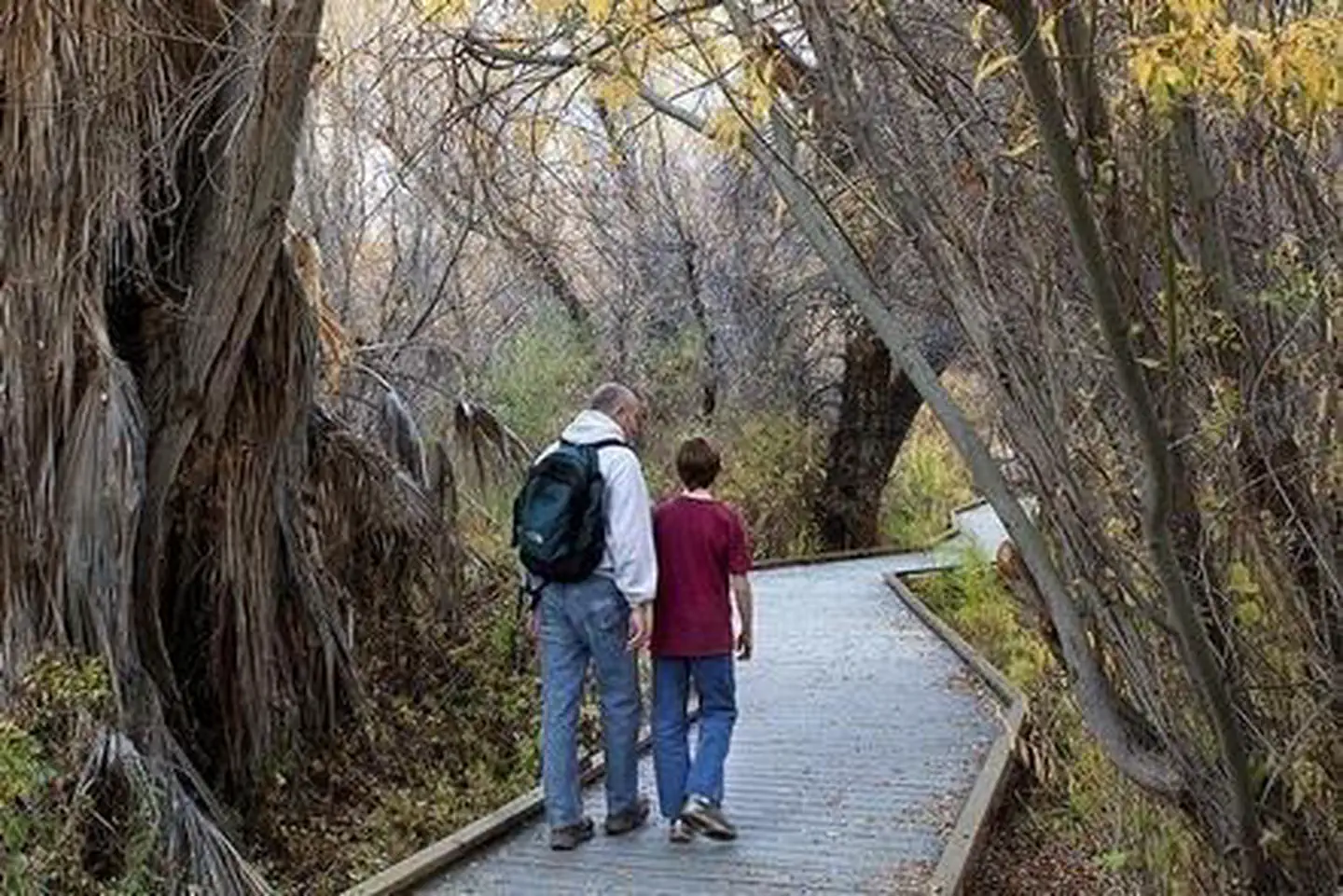 Big Morongo Canyon Preserve