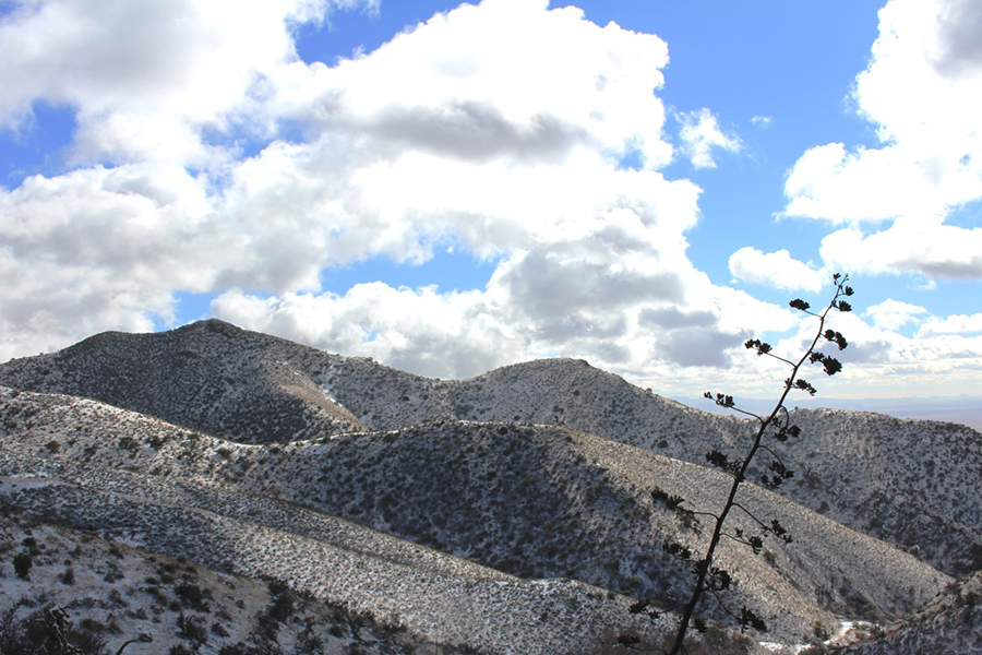 Dos Cabezas Mountains Wilderness