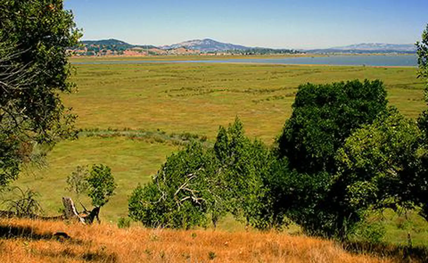 San Francisco Bay National Estuarine Research Reserve — View of San Francisco Bay from the San Francisco National Estuarine Research Reserve, California