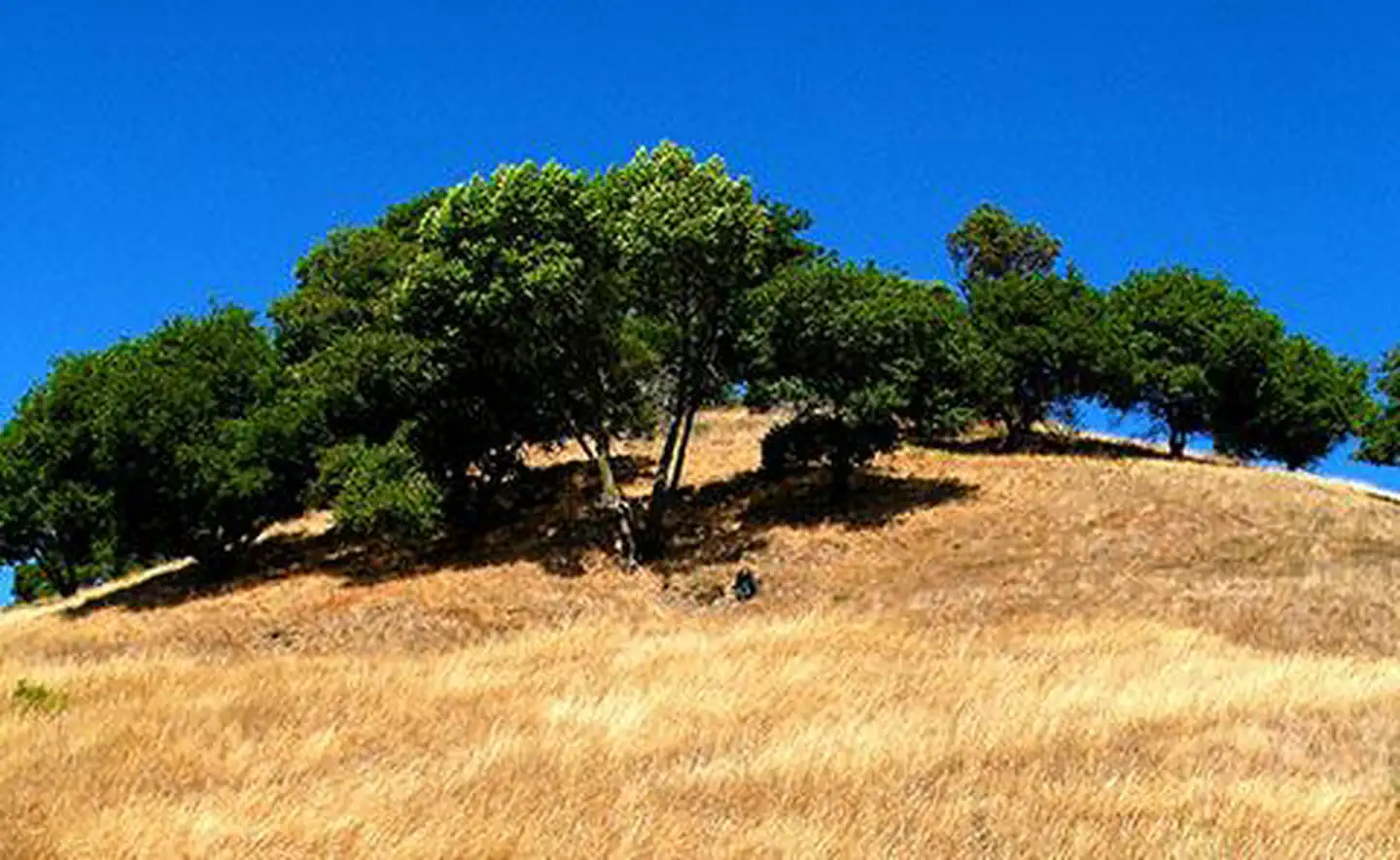 San Francisco Bay National Estuarine Research Reserve — China Camp State Park and San Francisco National Estuarine Research Reserve, California