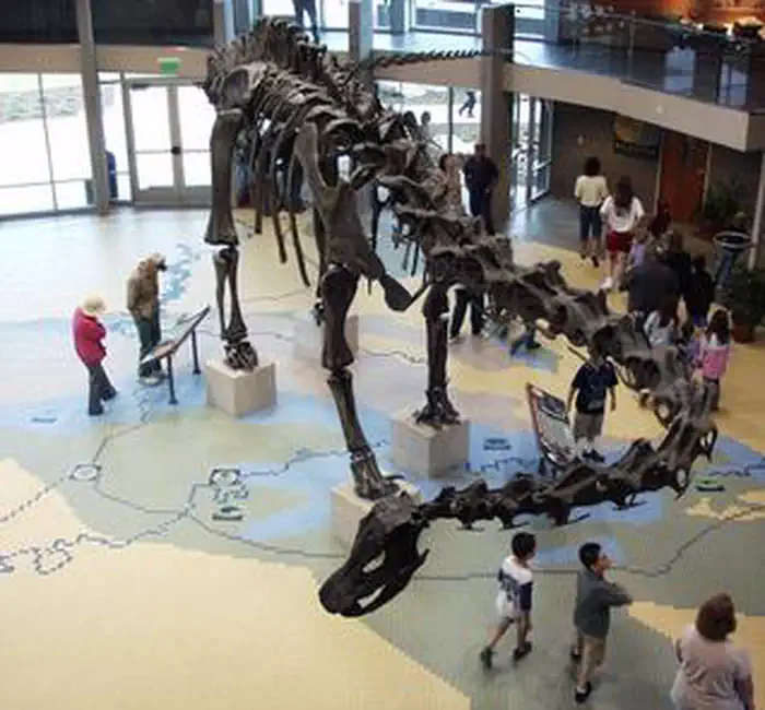 Utah Field House of Natural History State Park Museum