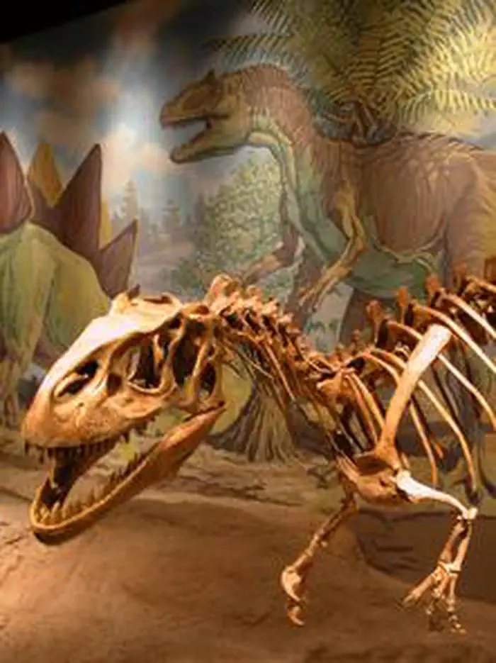 Utah Field House of Natural History State Park Museum — Bones and Interactive Exhibits