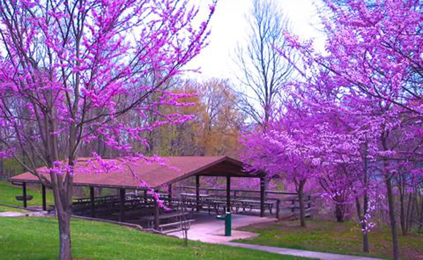 Foster Joseph Sayers Dam