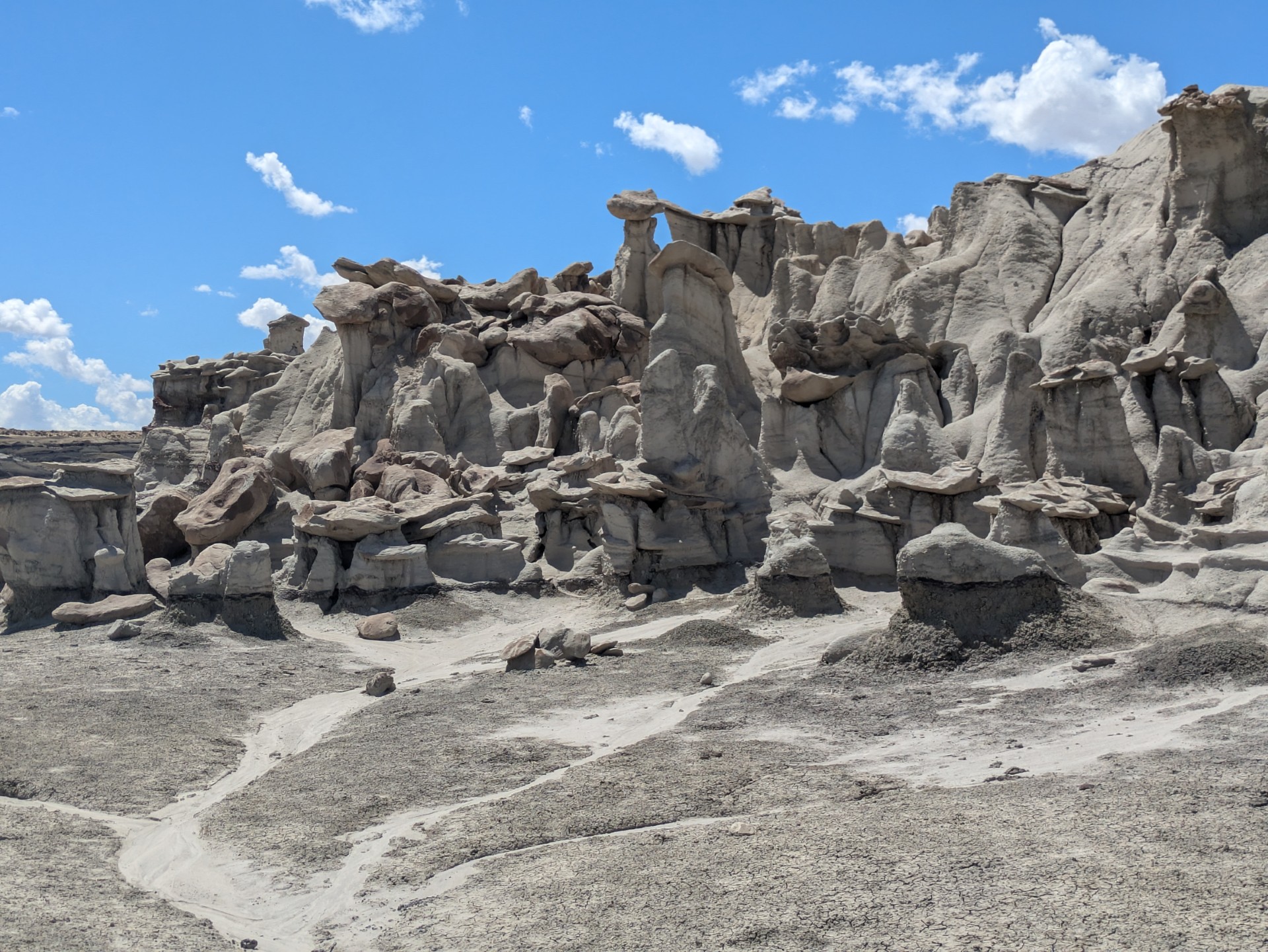 Bisti/De-Na-Zin Wilderness Area