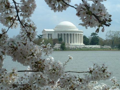 Thomas Jefferson Memorial Memorial — Thomas Jefferson Memorial