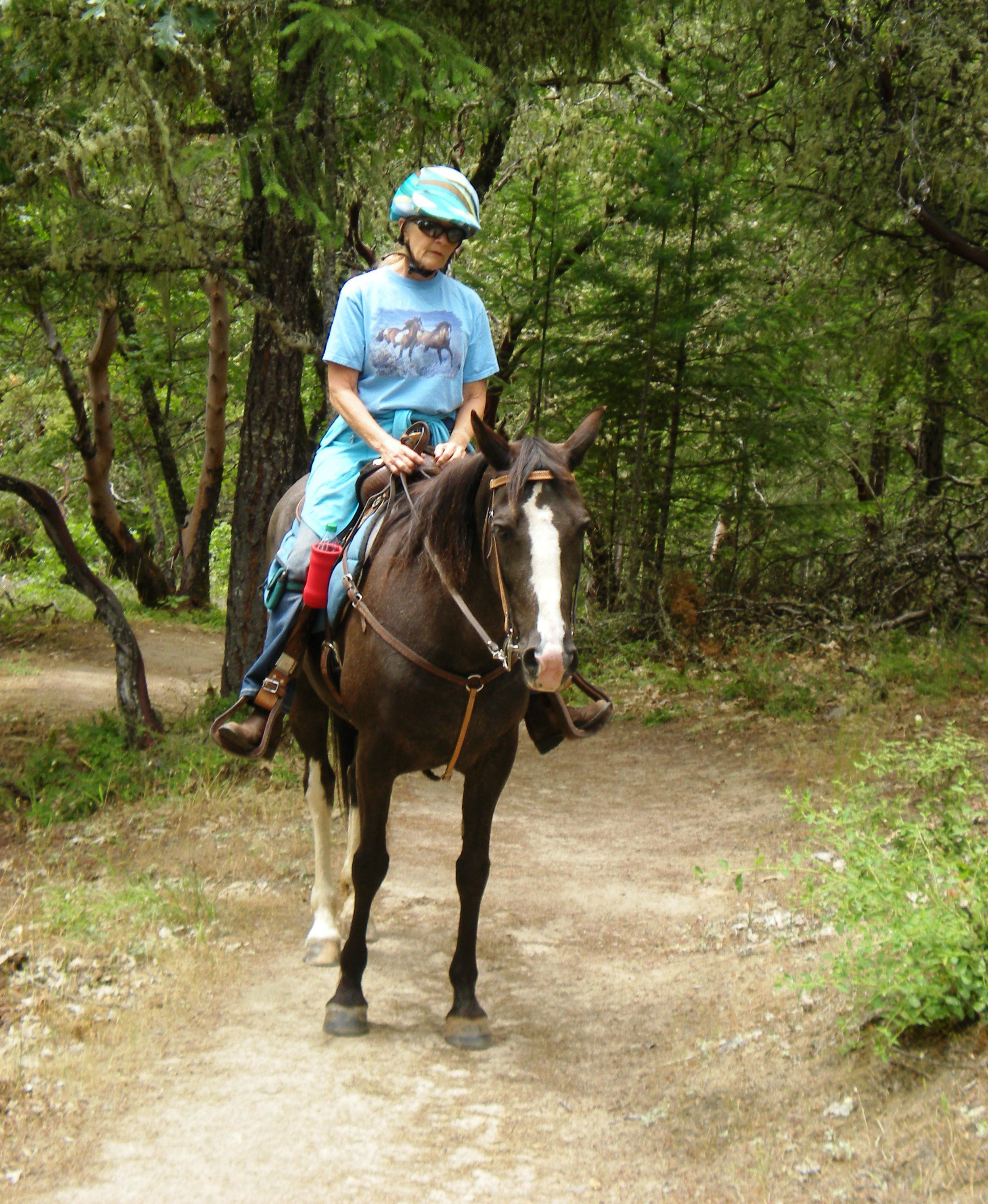Cathedral Hills Trail System — Horseback rider on the Cathedral Hills Trail System.