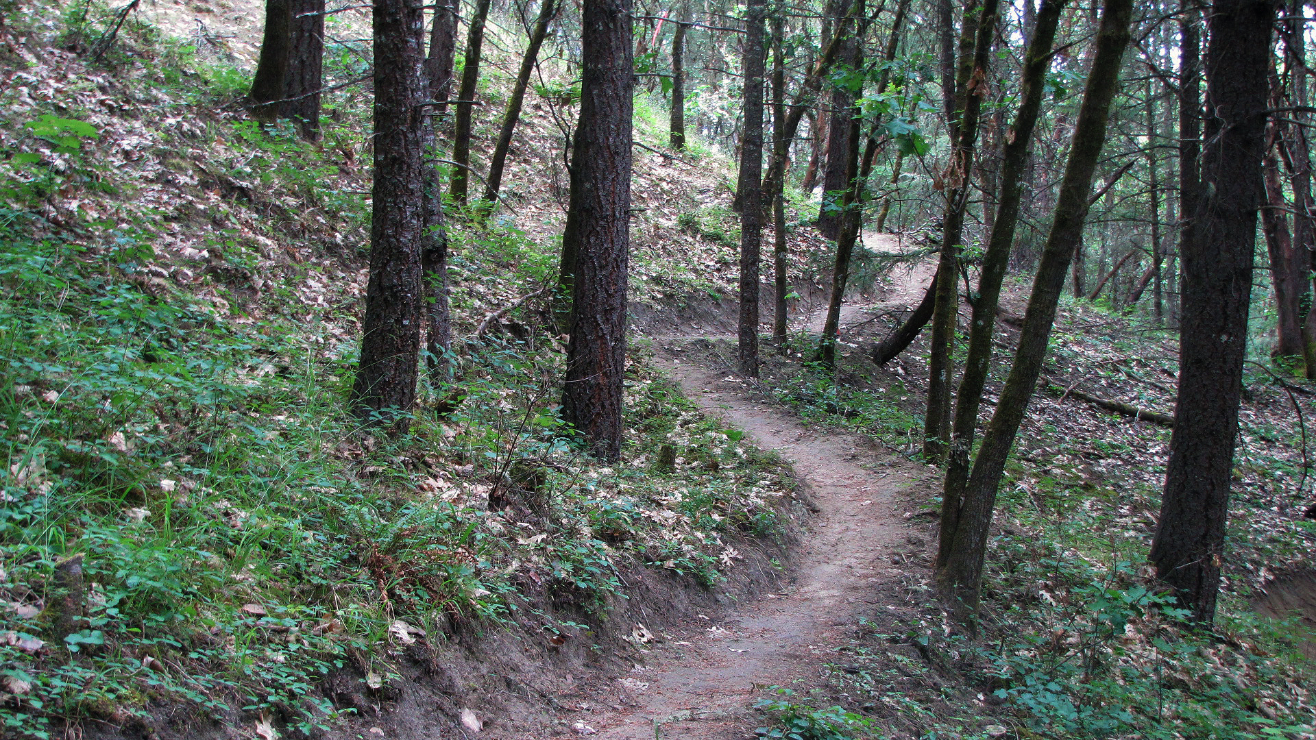 Cathedral Hills Trail System