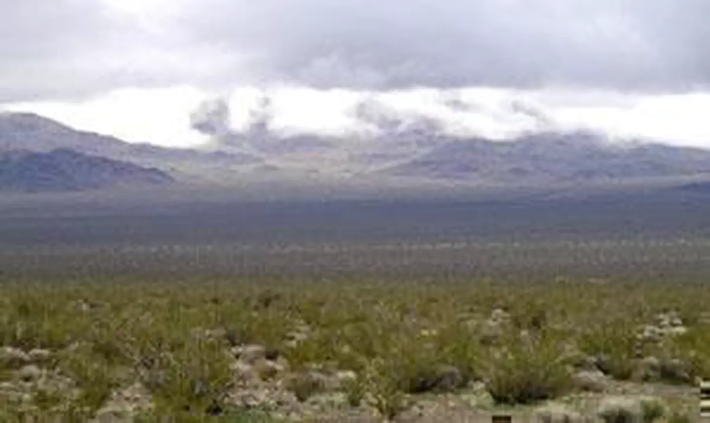 Kelso Dunes Wilderness