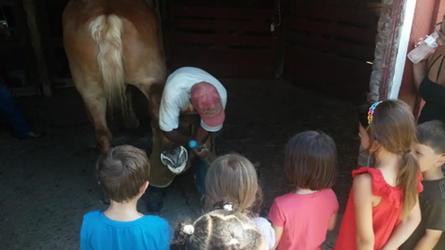 Oxon Cove  Park & Oxon Hill Farm — Farrier