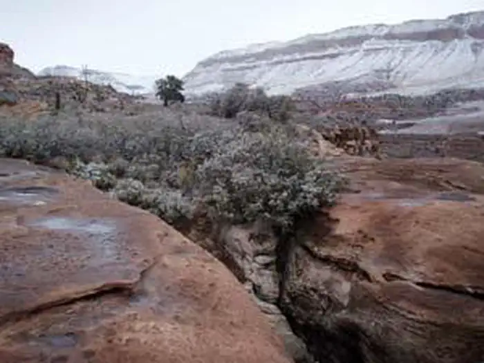 Grand Wash Cliffs Wilderness