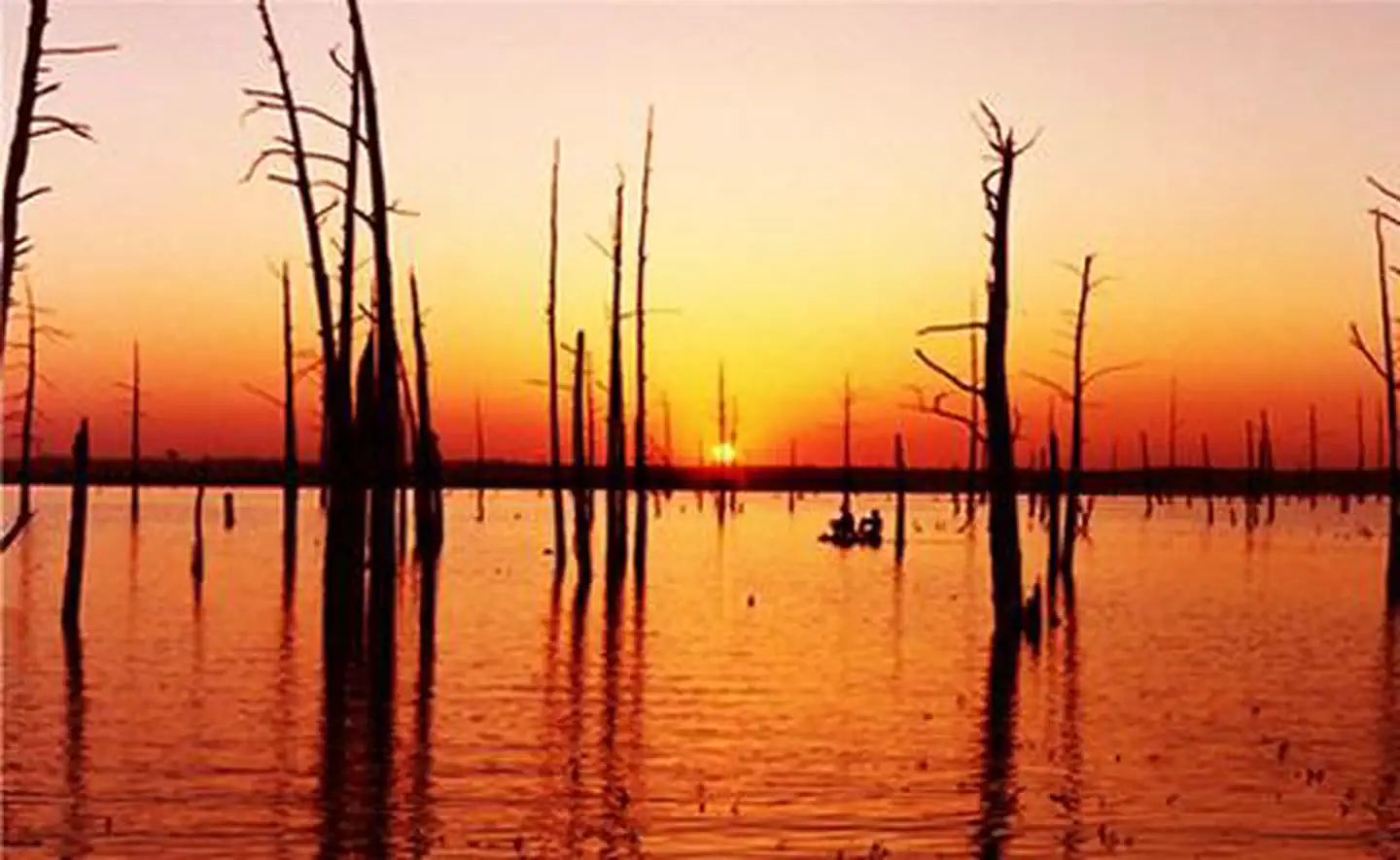 Sardis Lake