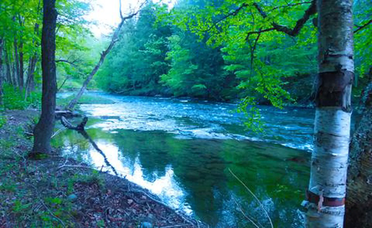 Union Village Dam