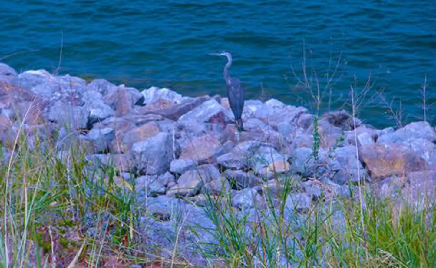 Leesville Lake
