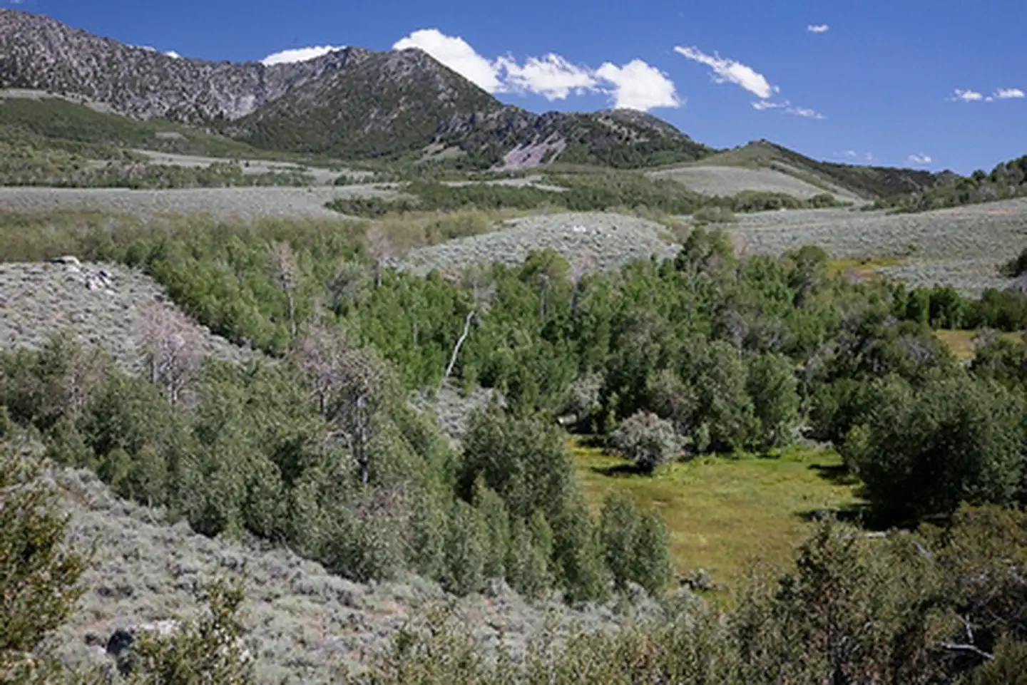 Pine Forest Recreation Area