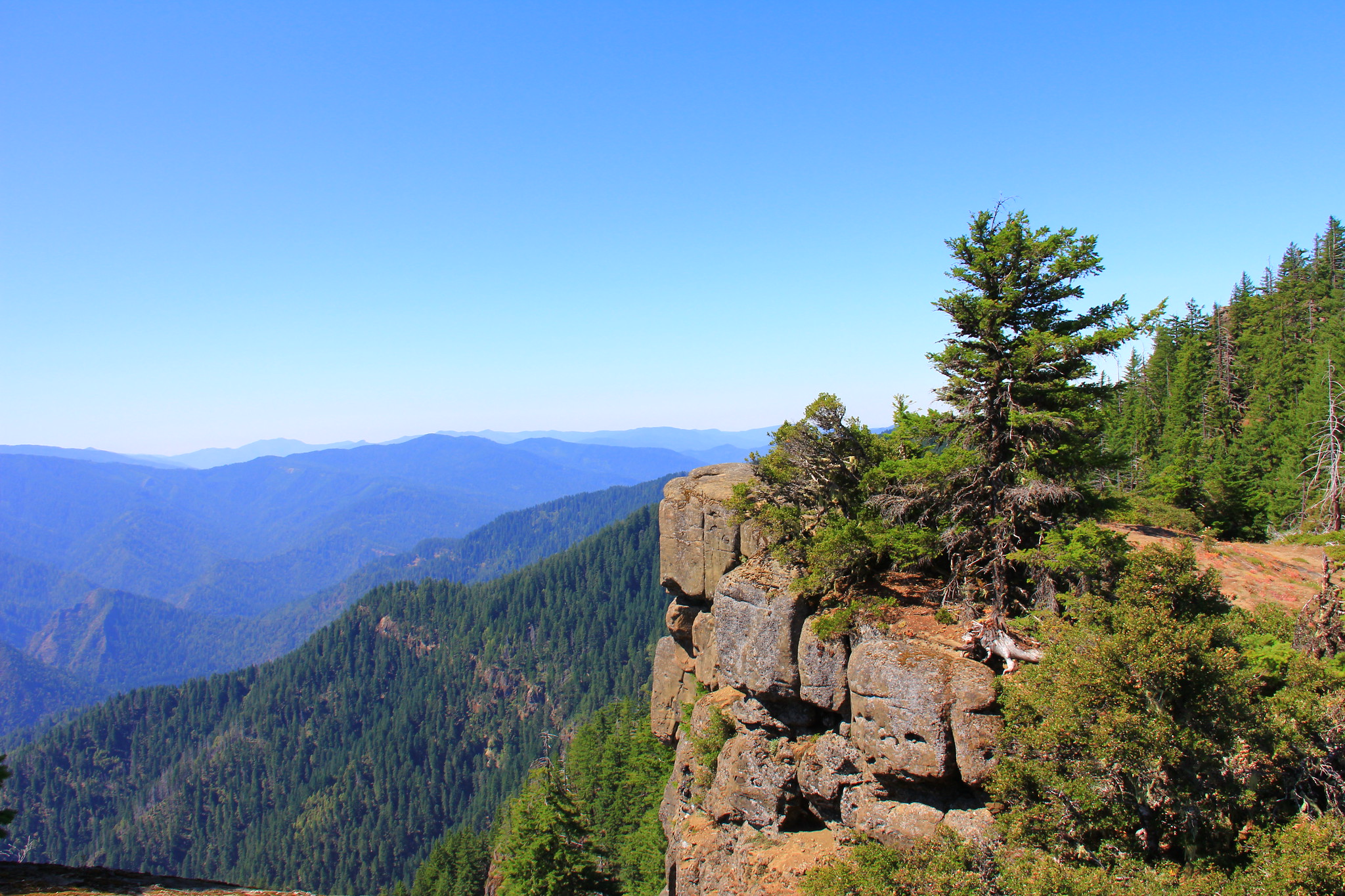 Wild Rogue Wilderness
