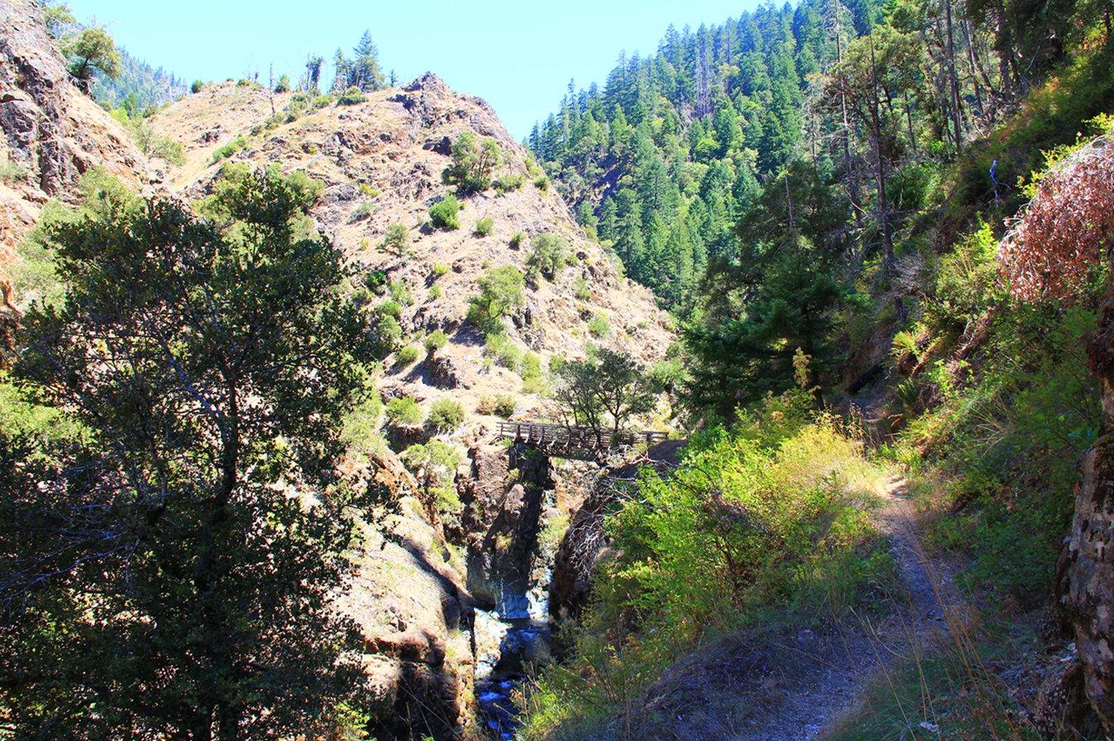 Wild Rogue Wilderness — Footbridge over Mule Creek