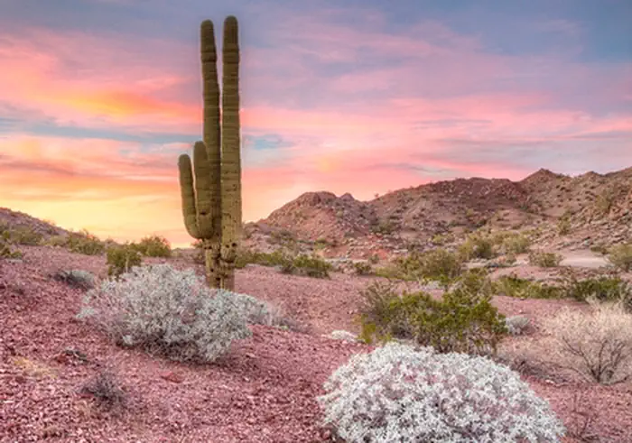 Whipple Mountains Wilderness