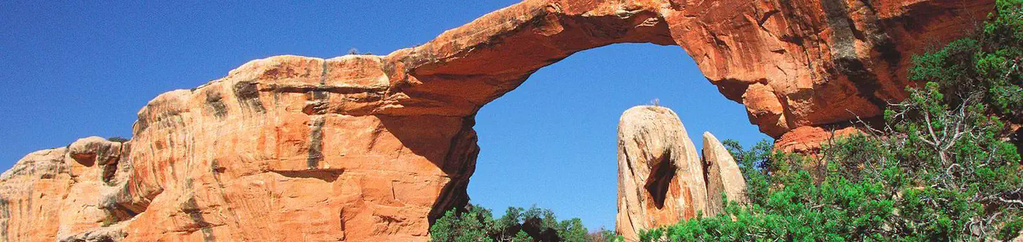 Natural Bridges National Monument