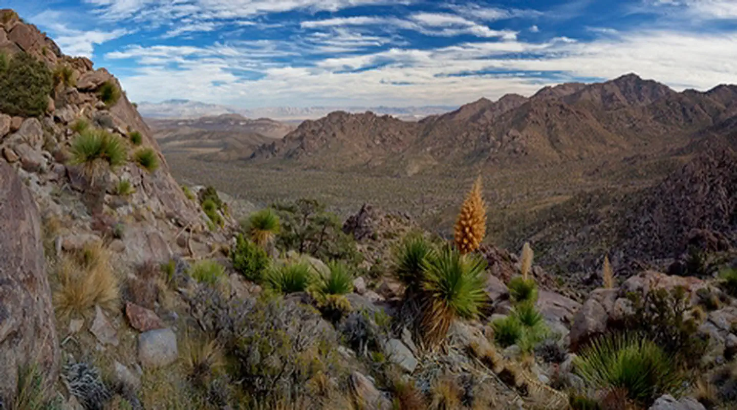 Kingston Range Wilderness