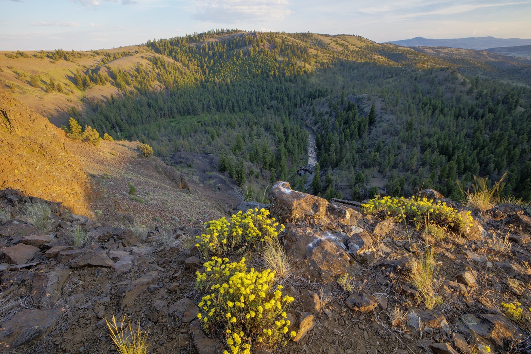 North Fork Crooked Wild and Scenic River — Canyon evening view of the North Fork Crooked Wild and Scenic River