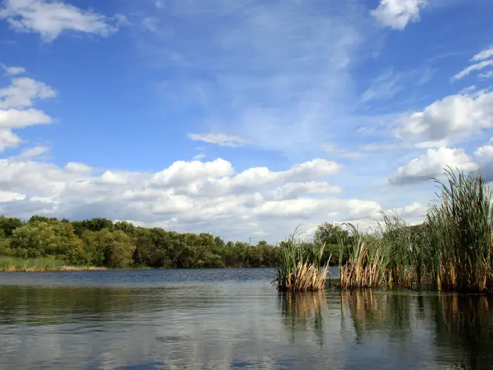 Fergus Falls Wetland Management District — Fergus Falls Wetland Management District
