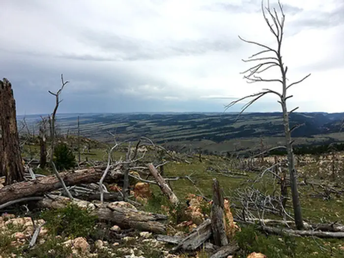 Gardner Mountain WSA