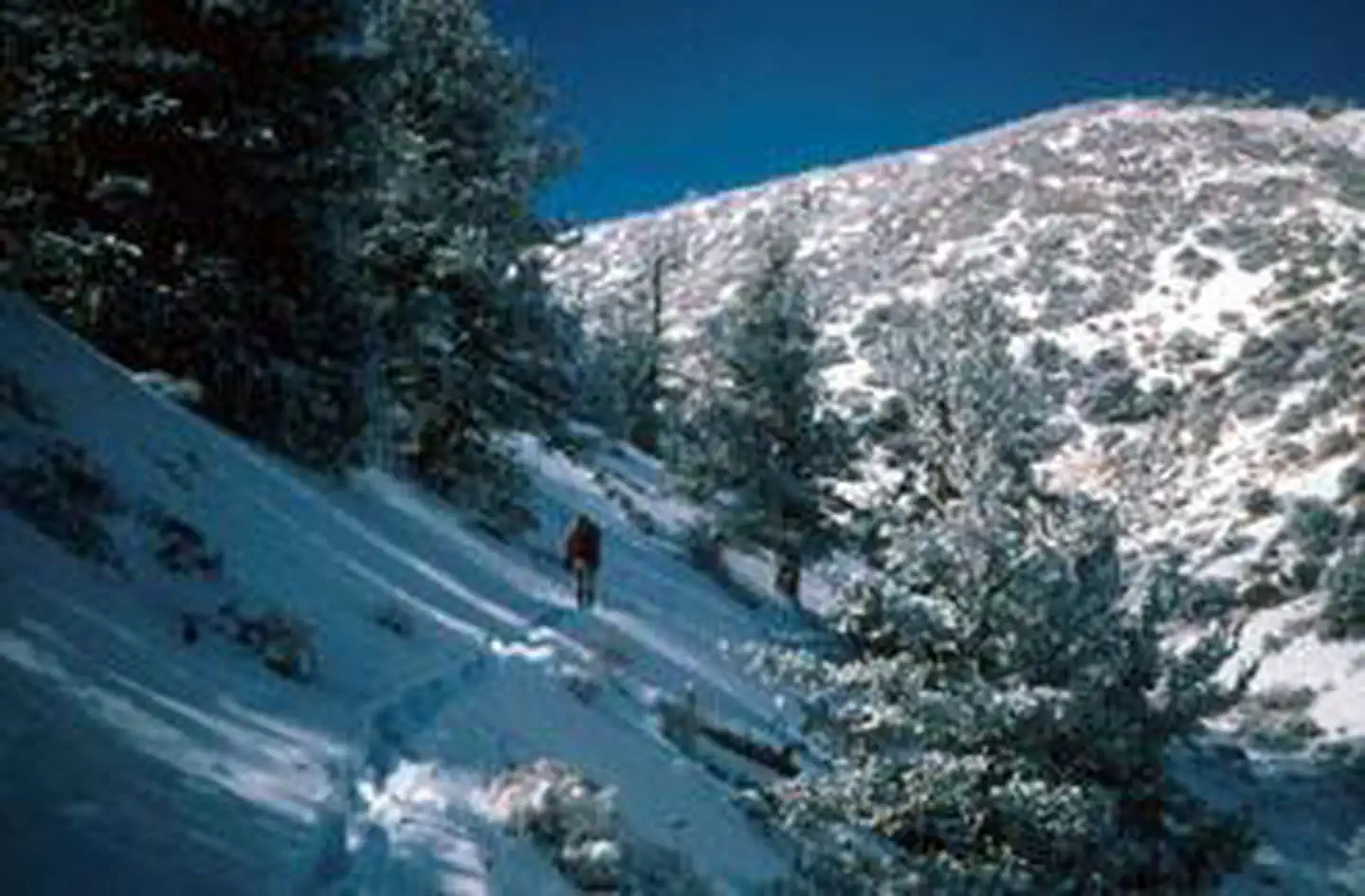 Inyo Mountains Wilderness