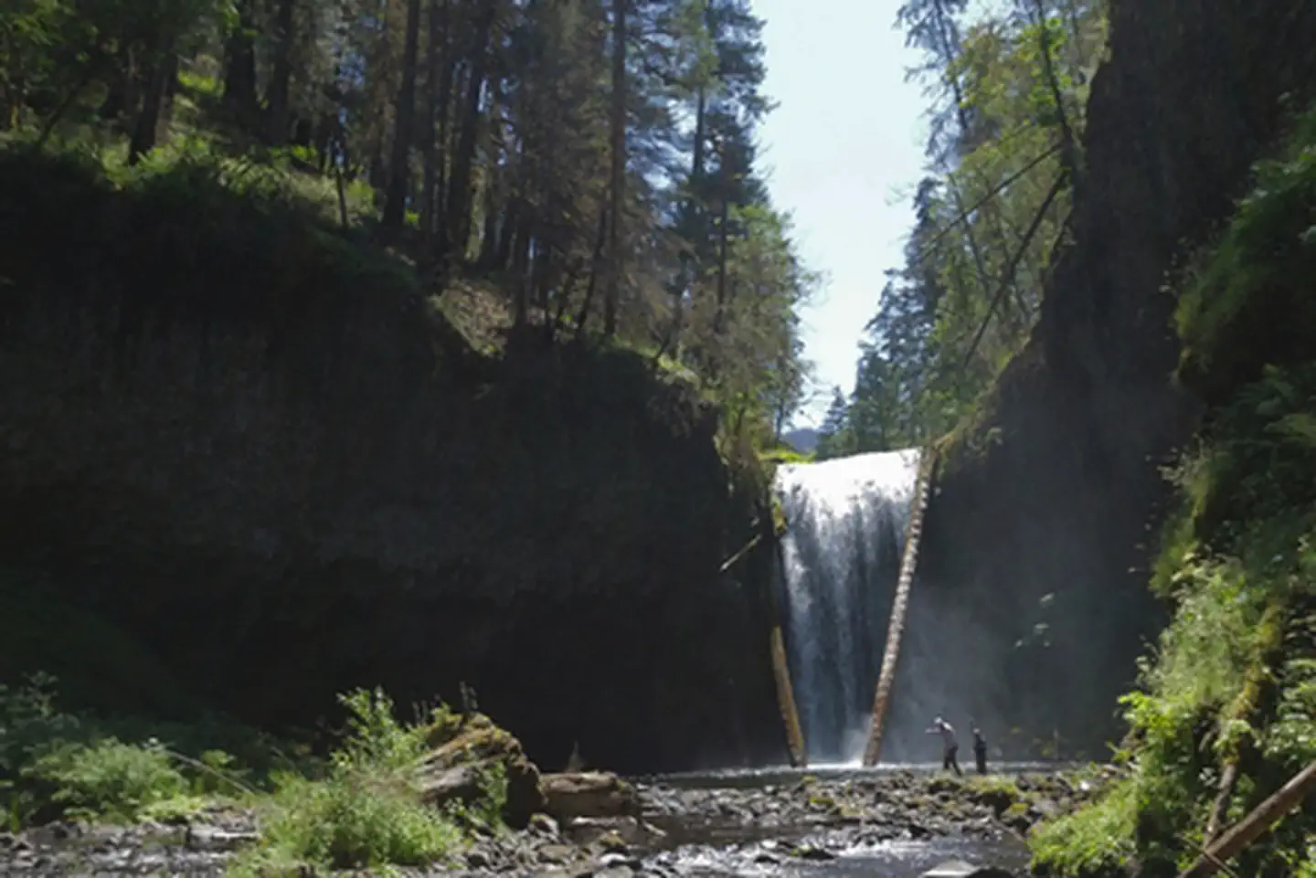 South Fork Clackamas Wild and Scenic River