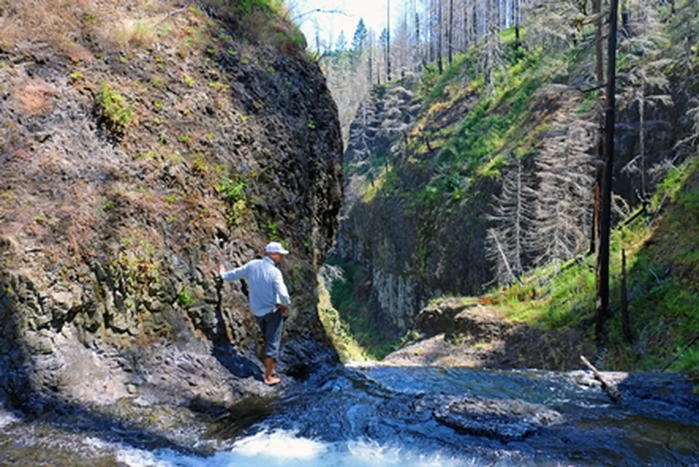 South Fork Clackamas Wild and Scenic River — South Fork Clackamas Wild and Scenic River